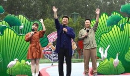 老挝酸菜爆料视频大全最新,视频大全带你领略地道风味